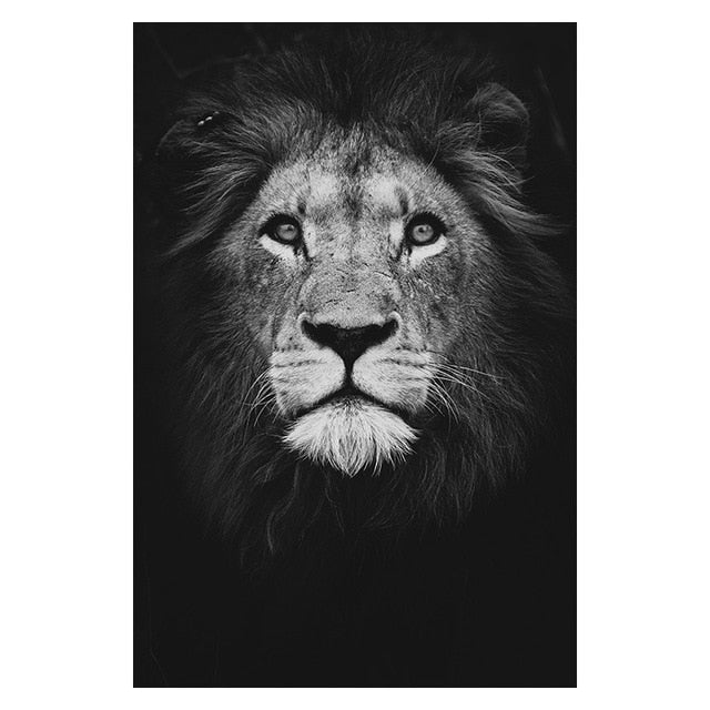 Canvas Painting Animal Wall Art Lion Elephant Deer Zebra Posters and Prints