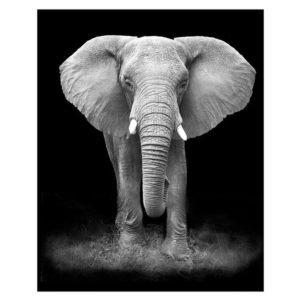 Canvas Painting Animal Wall Art Lion Elephant Deer Zebra Posters and Prints