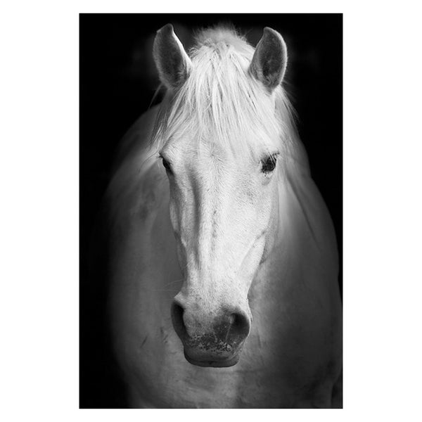 Canvas Painting Animal Wall Art Lion Elephant Deer Zebra Posters and Prints